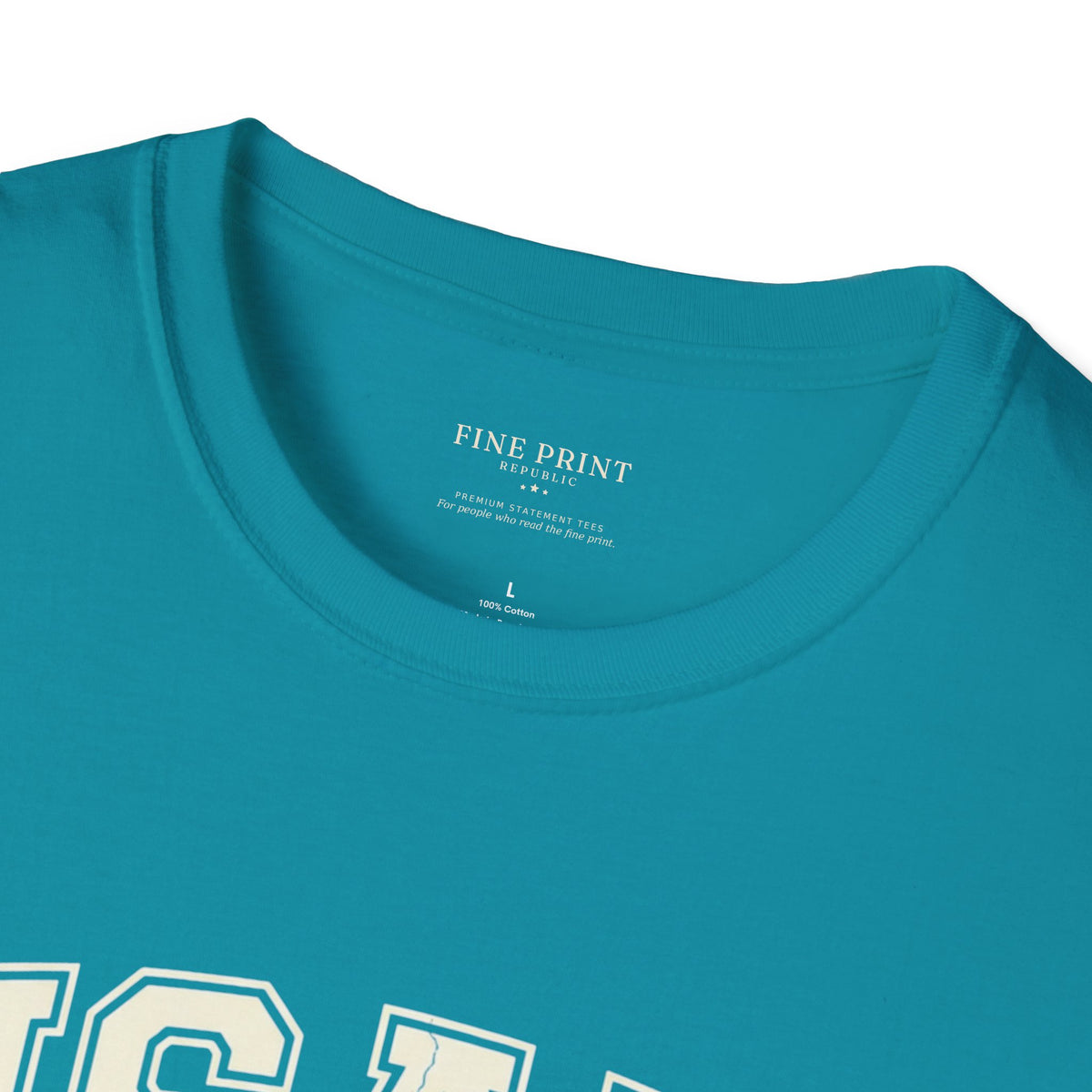 USAID Crest Pride T-Shirt — Vintage style 'Property of the American People' Graphic Tee