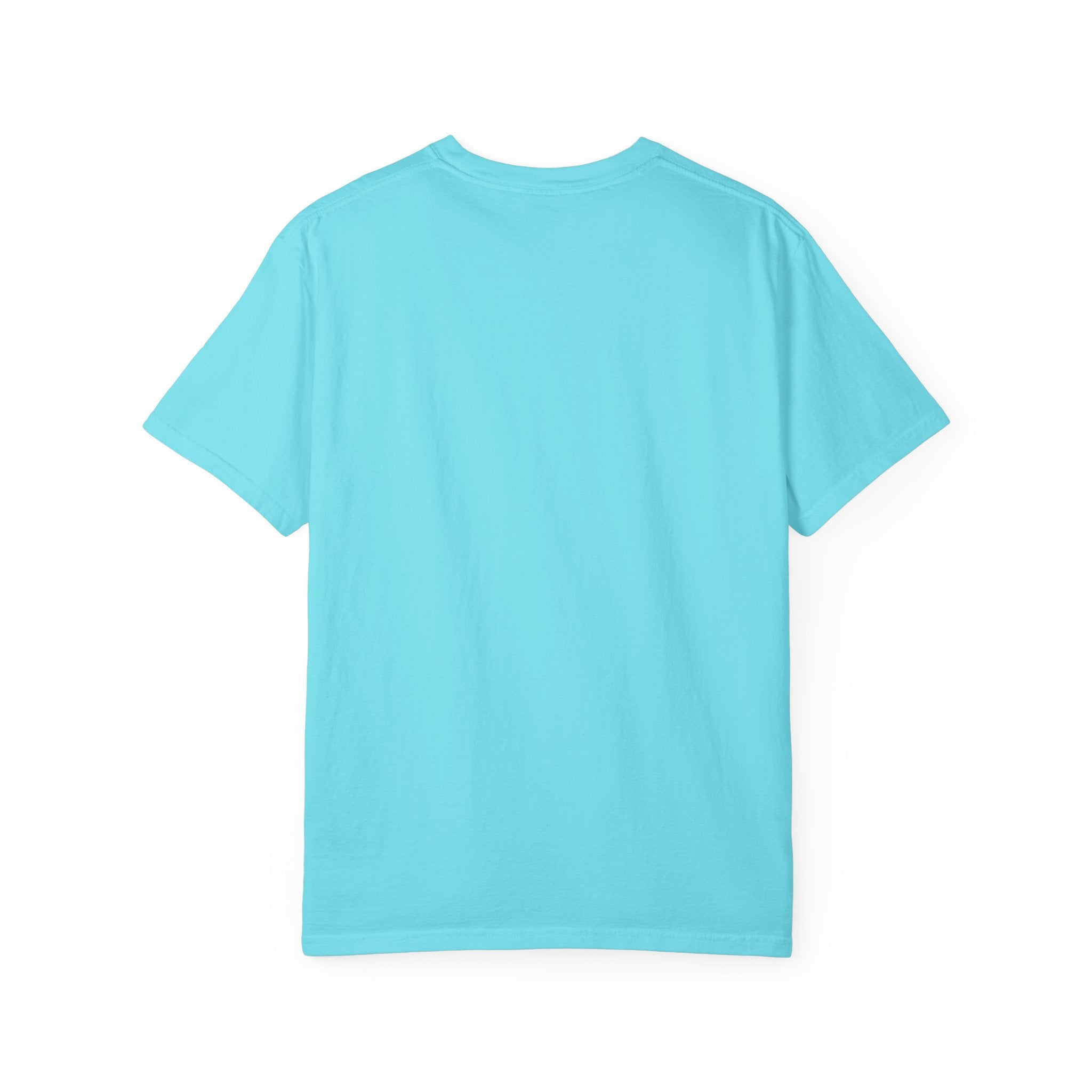FEDUP 250th Anniversary T-Shirt — Untapped Potential Patriotic Tee (1776–2026)